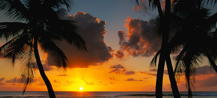 This is an example of a caption 虚拟号码外呼软件